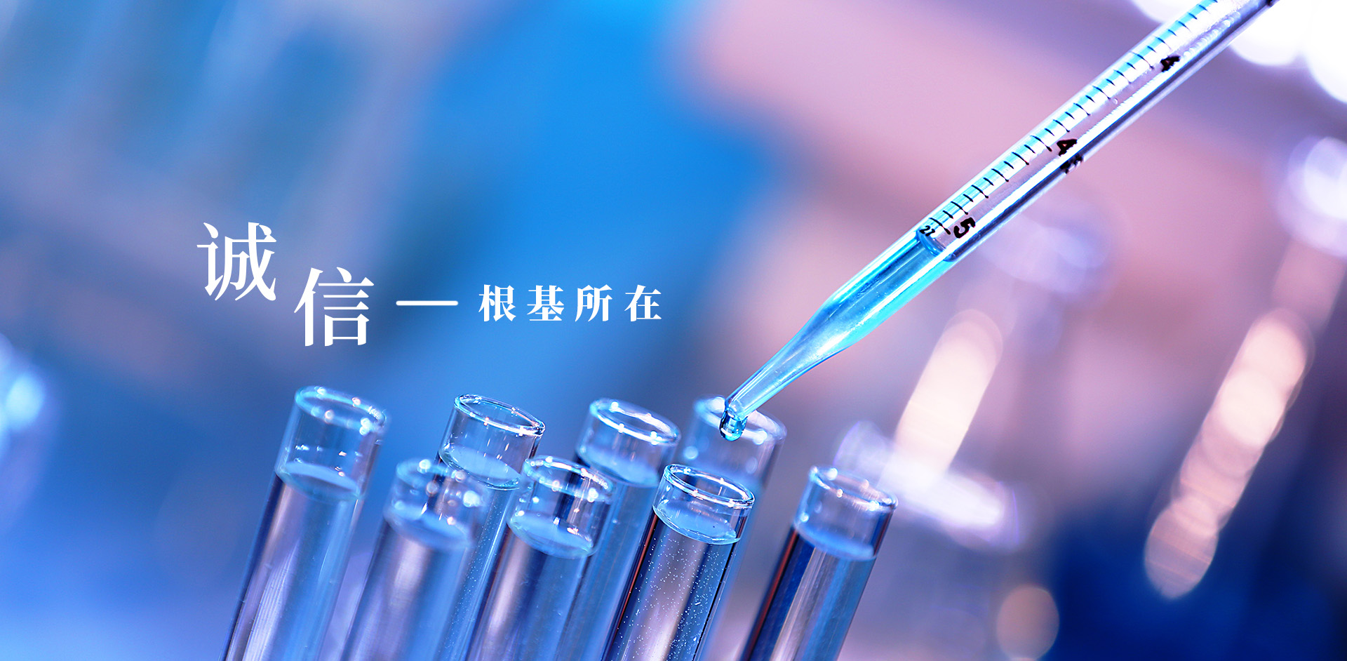 云鼎国际(中国)有限公司官网